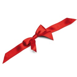Noeud satin rouge adhesif