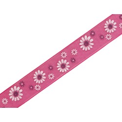 Ruban fleurettes organza