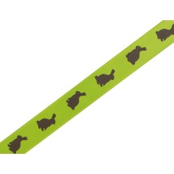 Ruban Réflexion du lapin vert