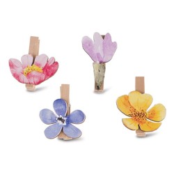 Pinces fleurs assorties
