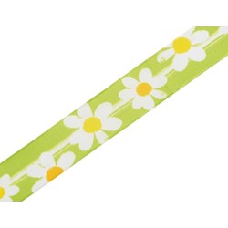 Ruban marguerites vert