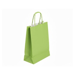Sac papier vert clair