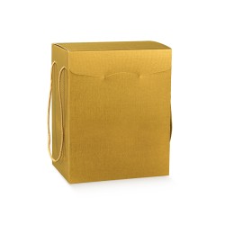 Coffret Fibra Oro
