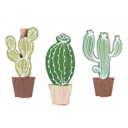 Set de 6 pinces cactus 3...