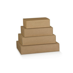 Avana boite delivery...