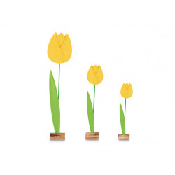 Set 3 tulipes jaunes