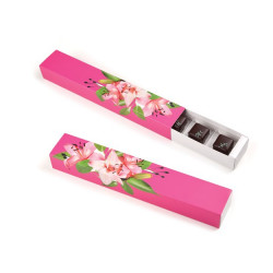 Réglette Alegria 6 choc.