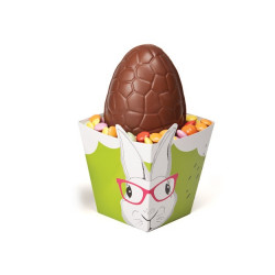 Panier Hipster Bunny