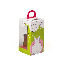 Boîte fenêtre Hipster Bunny