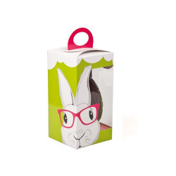 Boîte fenêtre Hipster Bunny