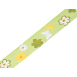 Ruban Florida vert 25mm - 20mt