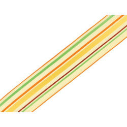 Ruban Mauritius - 40mm - 20mts