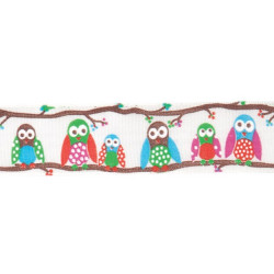 Ruban Hiboux - 25mm - 20mts