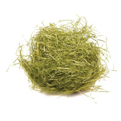 Frisure de bois vert