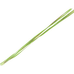 Raphia brillant vert 200m