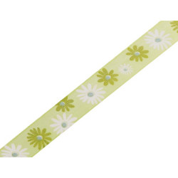 Ruban Margarite vert