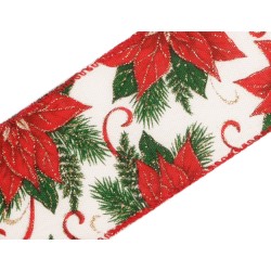 Poinsettia